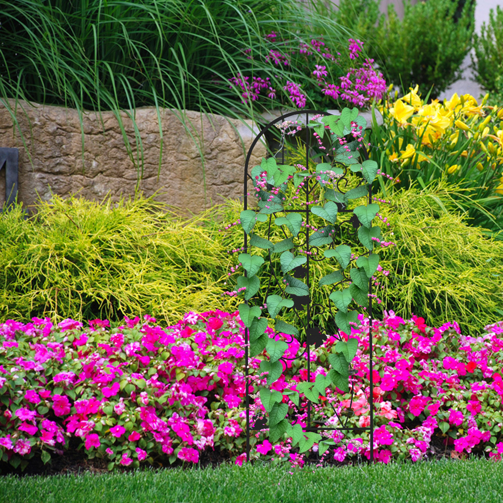 Garden Trellis for Vines and Climbing Plants, Black 2 Pack, Metal Wire