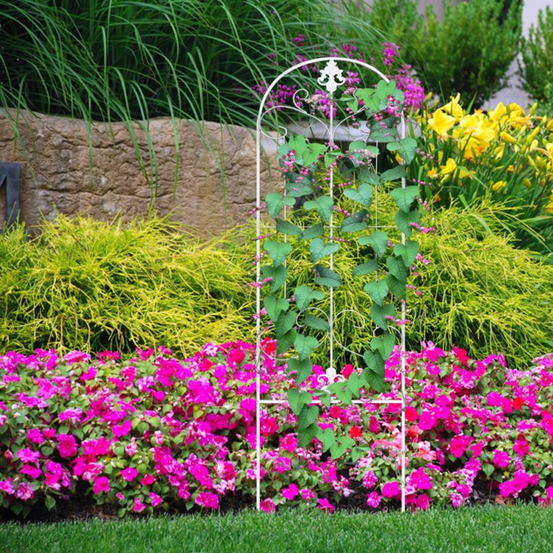 Garden Trellis for Vines and Climbing Plants, Black Metal