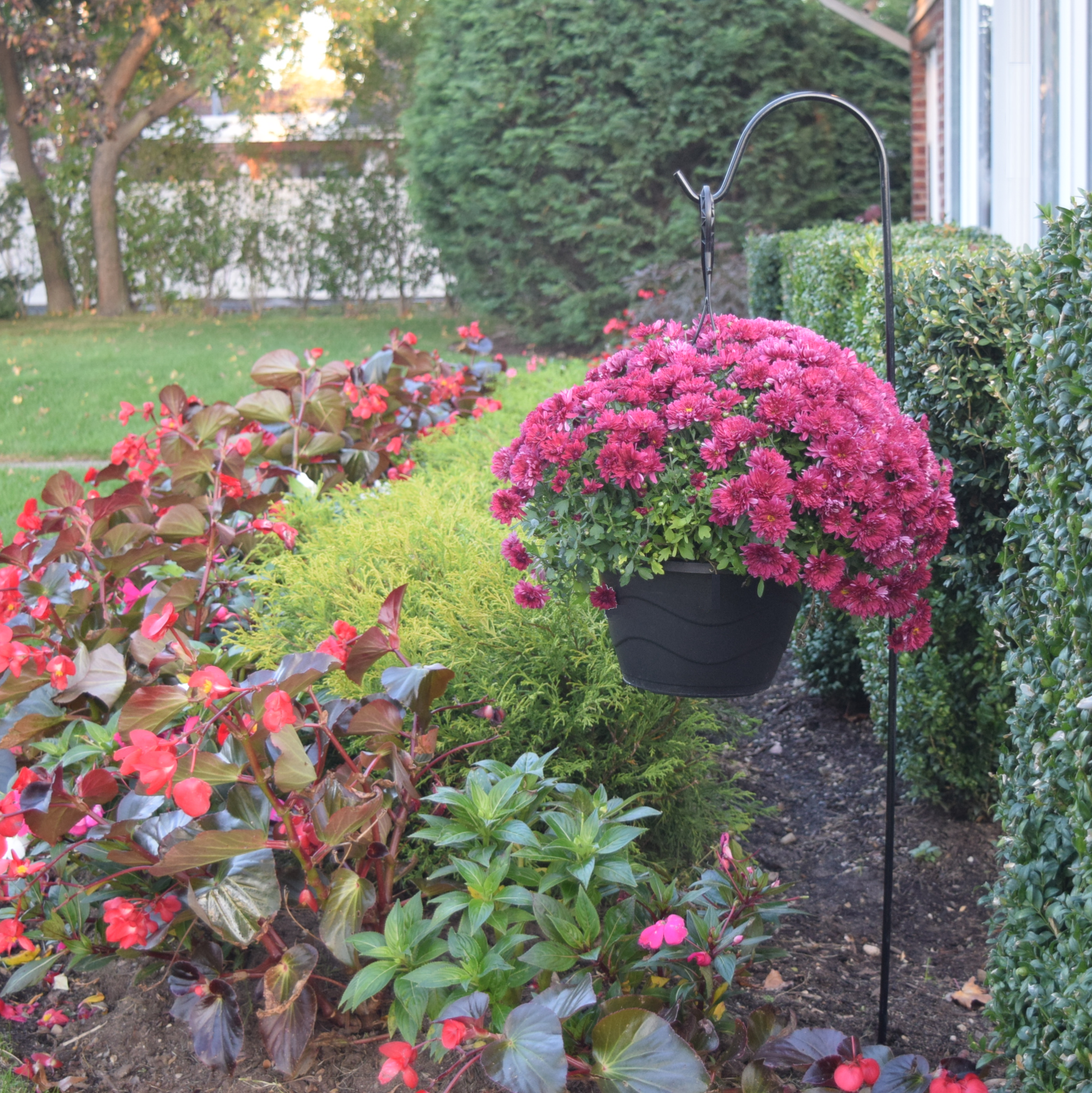 Shepherd Hook, Super Strong Rust Resistant Premium Metal Hook For