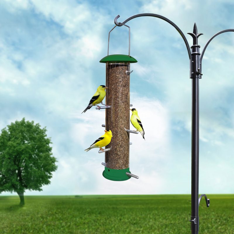 Thistle Feeder, Nyjer Feeder, Wild Birdfeeder - Chewproof Metal and