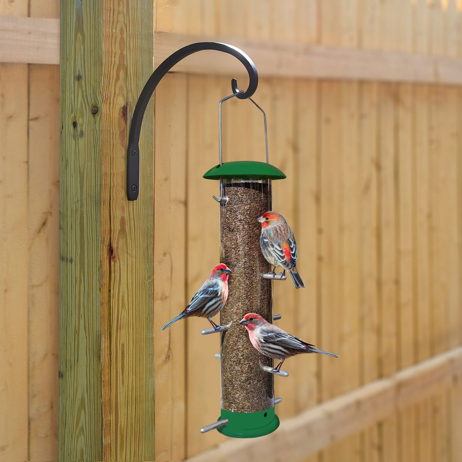 Thistle Feeder, Nyjer Feeder, Wild Birdfeeder - Chewproof Metal and ...