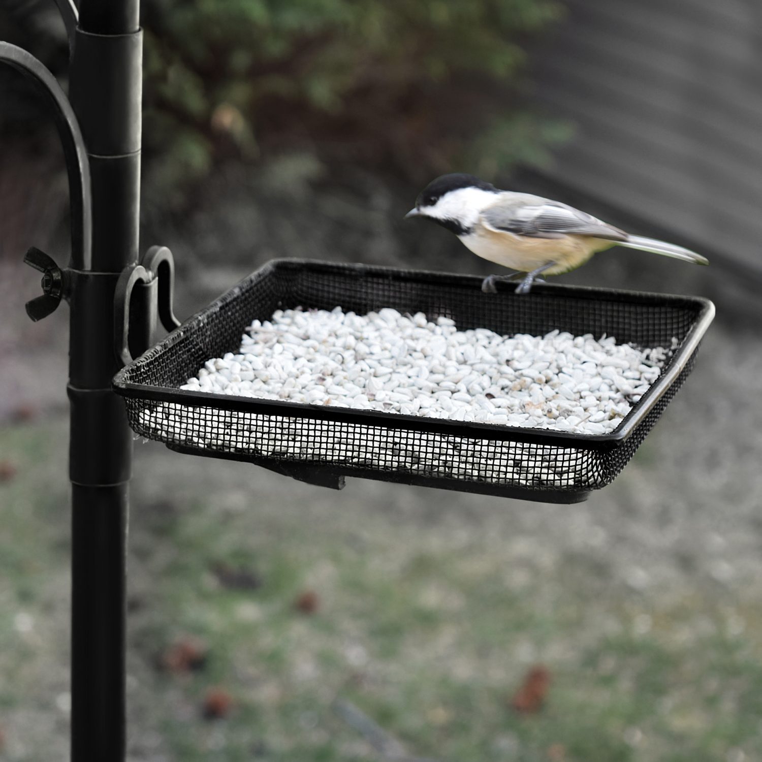 platform bird feeder on pole