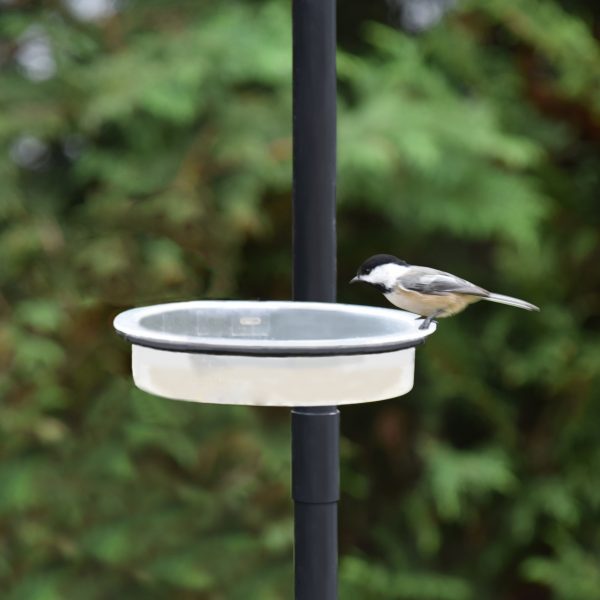 with Beige Color Bowl 1-Quat Water Capacity EHF Deck Mounted Songbird and Wild Bird Spa and Bath 