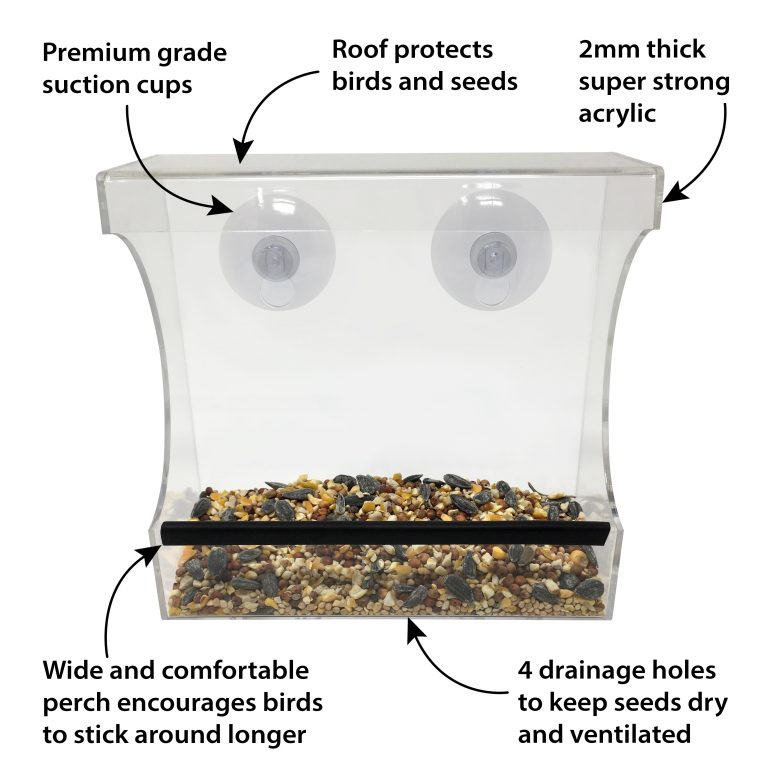 Clear Window Bird Feeder, Compact Wild Birdfeeder With Drain Holes
