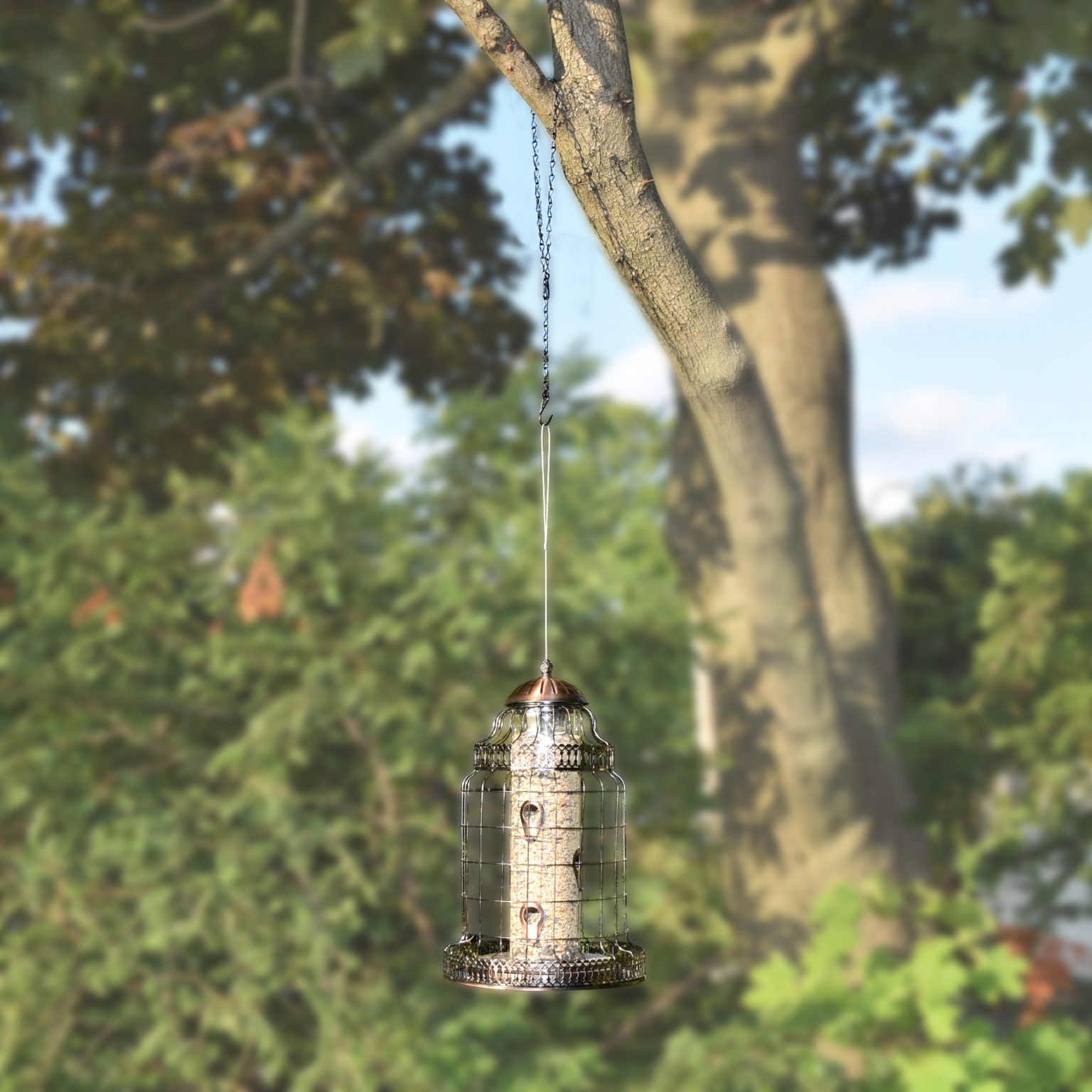 Hanging Chain For Bird Feeders, Planters, Fixtures, Lanterns, Suet