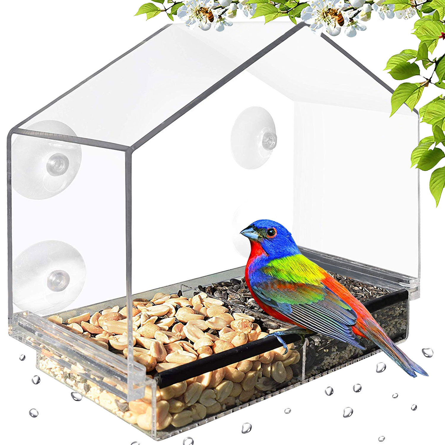 Window Bird Feeder Large 12" Dual Suction Mounts Separate Seed & Water WooPet 